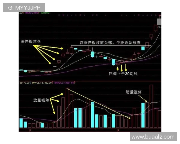 乒乓球技术全面提升指南:从基础技巧到高级战术的完美突破 乒乓球技术全面提升指南:从基础技巧到高级战术的完美突破