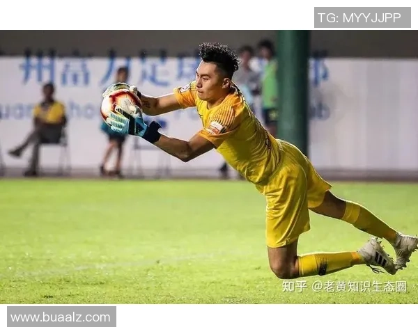 浙江队强势崛起全面解析球队新赛季战术布局与核心阵容调整 浙江队强势崛起全面解析球队新赛季战术布局与核心阵容调整