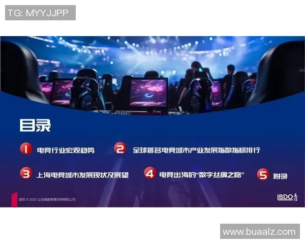 电竞产业的未来发展趋势与挑战分析：从技术革新到全球化竞争的多维度探讨