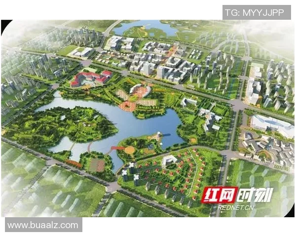 衡阳队足球崛起之路：从地方球队到职业赛场的奋斗与梦想